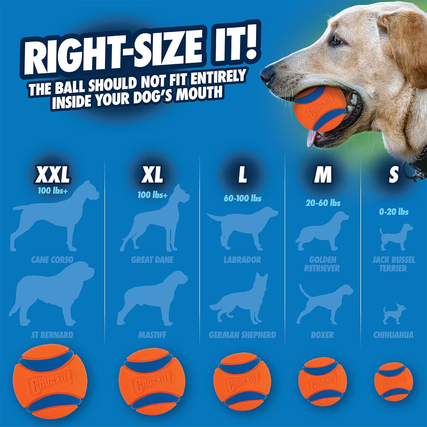 Chuckit! Ultra Ball Dog Toy, Medium (2.5 Inch Diameter) Pack of 2, for breeds 20-60 lbs-4