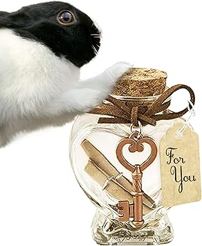 Luffy Memento Jar, Container for Pet’s Furs, Nail Clippings and Ashes, Funeral, Souvenir and Gift Item, for Rabbit, Parrot, Dog & Cat-0